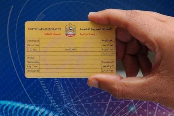 الامارات | تعرف إلى إجراءات استخراج "ملكية بدل تالفة للمركبة" عبر تطبيق وزارة الداخلية