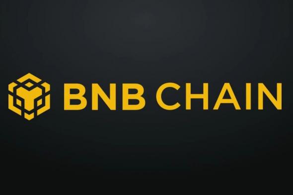 شبكة BNB تتعاون مع منصات تداول ومحافظ رقمية وجسور لتقديم تحويلات خالية من الرسوم