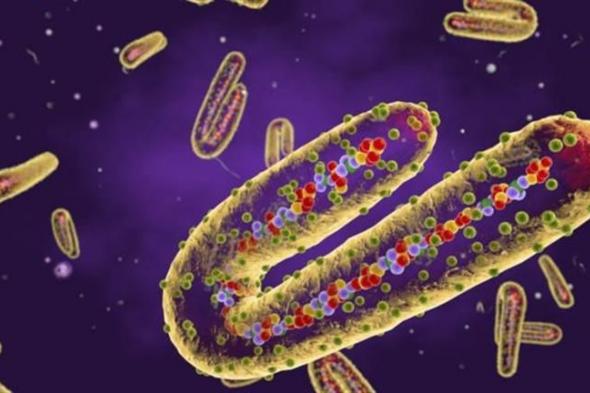 أعراض فيروس ماربورج بعد تسجيل 6 وفيات و20 إصابة في رواندا