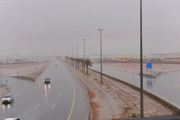 أمطار رعدية غزيرة ورياح نشطة.. تفاصيل حالة الطقس اليوم