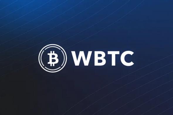 عملة WBTC تحتفظ بسيطرتها السوقية رغم الانتقادات الموجهة لنموذج التخزين والحراسة