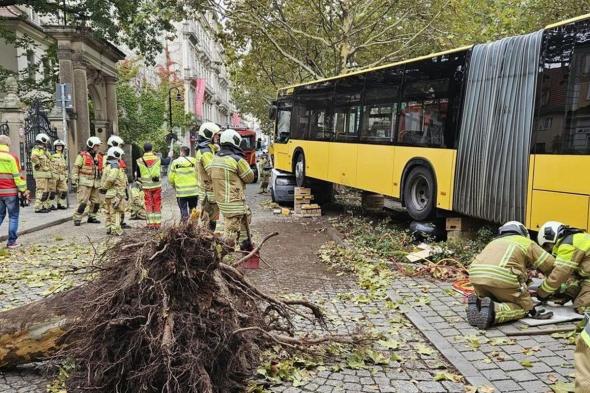 إصابة 30 شخصًا في حادث سير بألمانيا