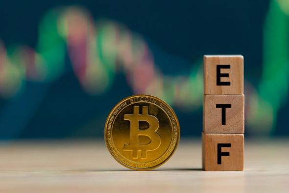 عودة التدفقات الواردة لصناديق ETF البيتكوين: التفاصيل