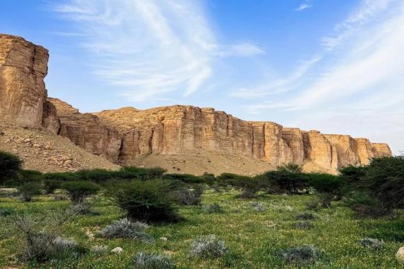 بتحقيق معايير "IUCN".. محمية الوعول أول جهة سعودية تنضمّ للقائمة الخضراء الدولية