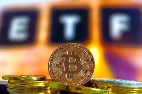 مدير تنفيذي في “بلاك روك”: 75% من استثمارات صناديق ETF البيتكوين تأتي من عشاق الكريبتو وليس من الشركات!