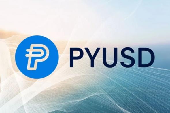 ما هو وضع العملة الرقمية المستقرة PYUSD المقدمة من بايبال مقارنة بباقي العملات المستقرة؟