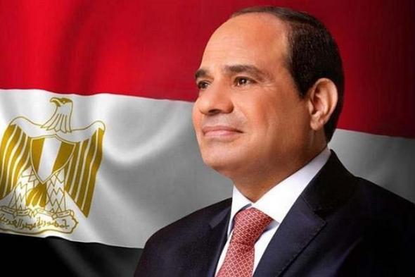 السيسي يؤكد التزام مصر بتعزيز التعاون مع دول بريكس