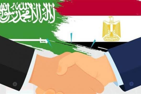 تفاصيل اتفاقية السعودية ومصر بشأن أول كابل بحري يربط البلدين.. فيديو