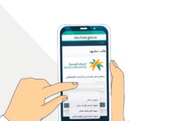 الضمان الاجتماعي.. ما هي عقوبة تقديم معلومات كاذبة للحصول على المعاش؟