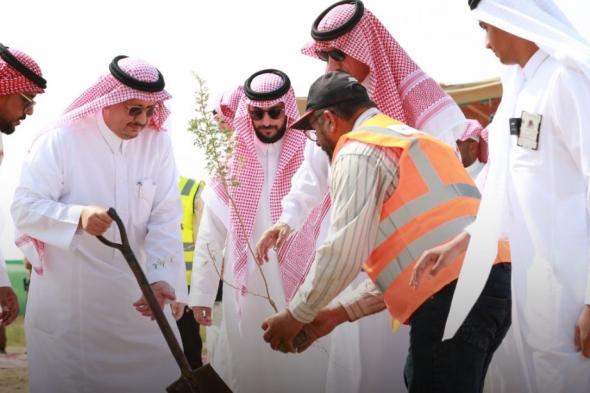 بزراعة 90 ألف شجرة.. "الغطاء النباتي" يُطلق مشروعًا لإعادة تأهيل متنزه حلي البري