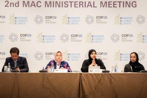 COP29.. الإمارات تكشف عن استراتيجية 2031 لتحالف القرم من أجل المناخ