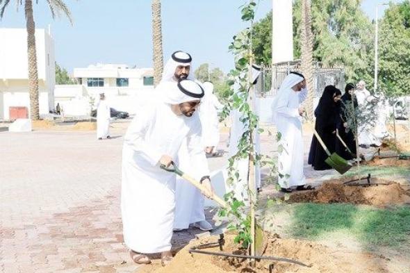 300 مسجد في المرحلة الأولى لـ«نزرع مسايدنا»