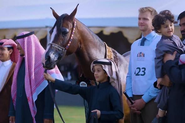 الدغيلبي يوضح أسرار جمال الخيل العربية الأصيلة .. فيديو