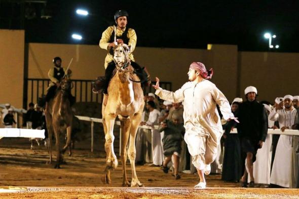 الامارات | منافسات اليولة.. زايد المري على بُعد خطوة من «كأس فزاع الذهبي»